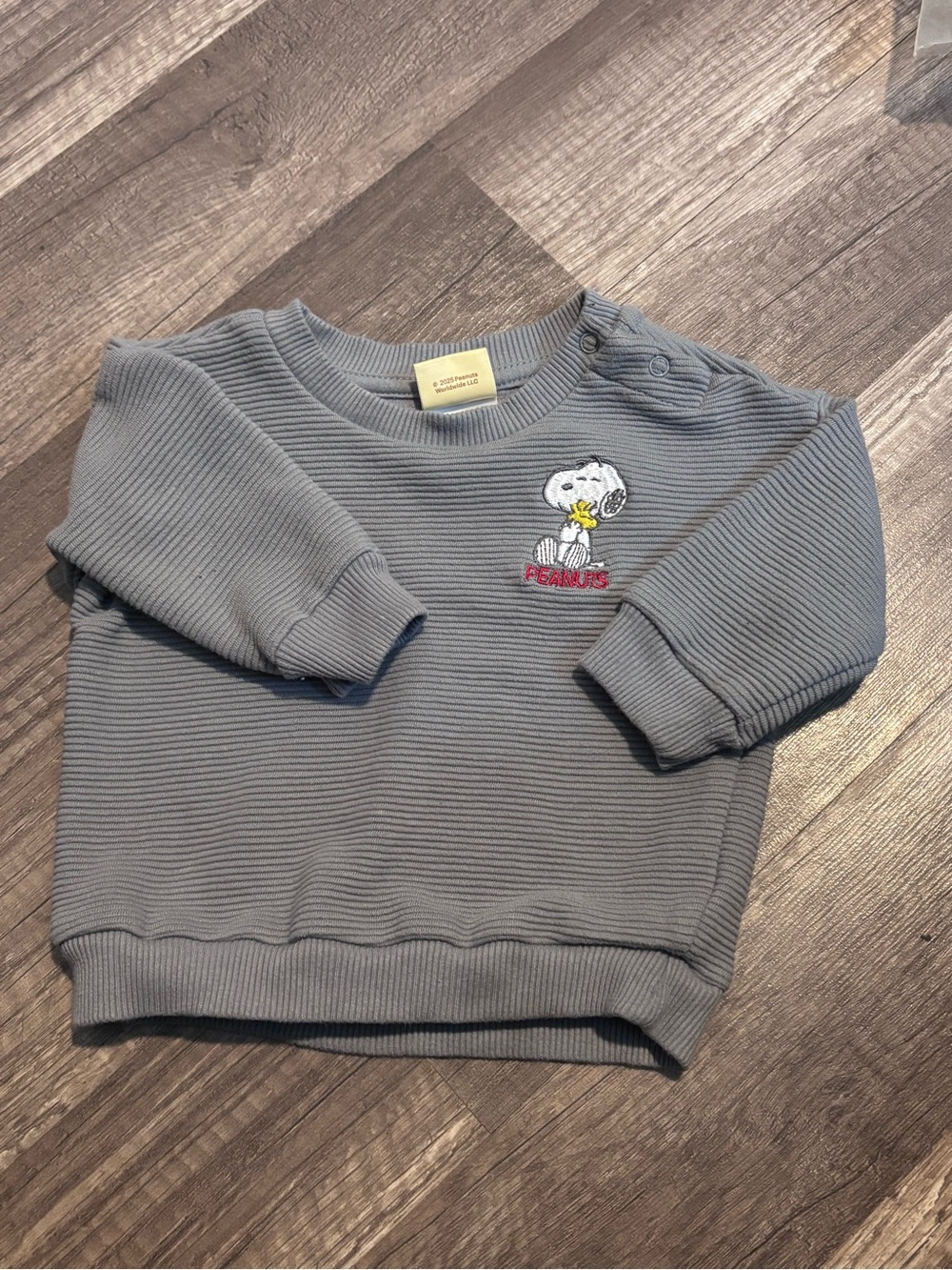 Peanuts Gray Ribbed Sweatshirt with Snoopy & Woodstock Embroidery